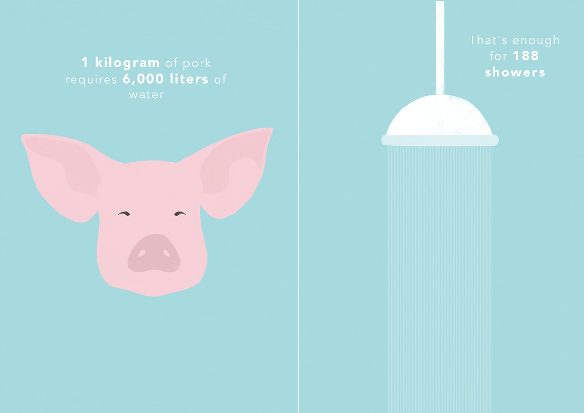 pig-shower-water-usage