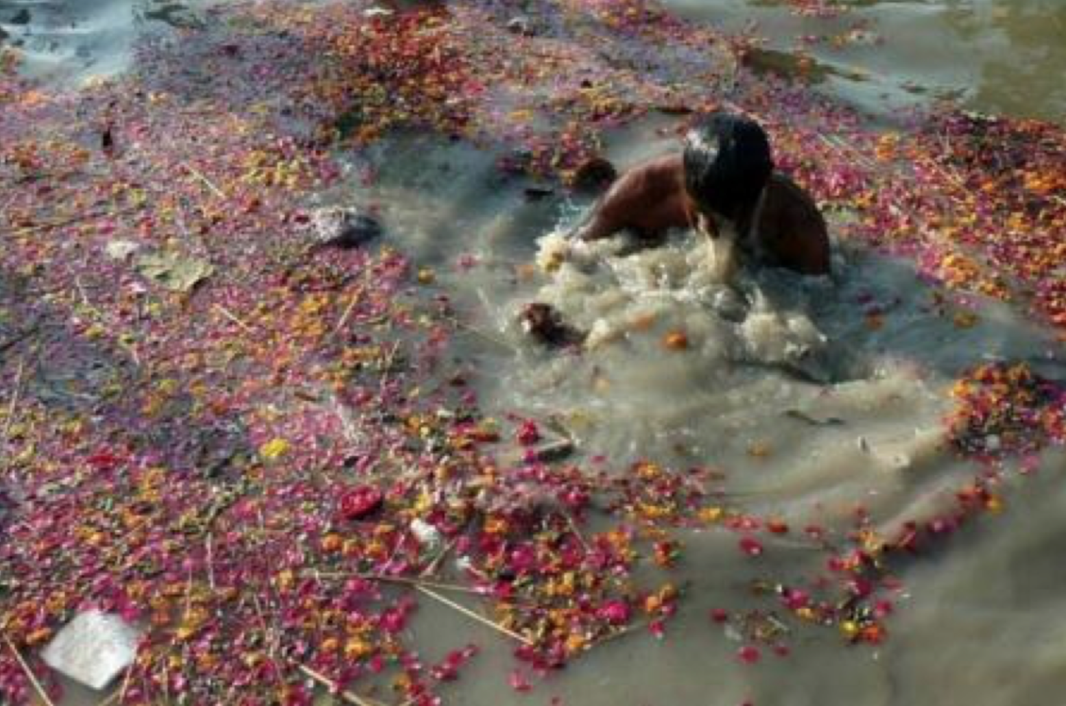 ganga-river-polluted