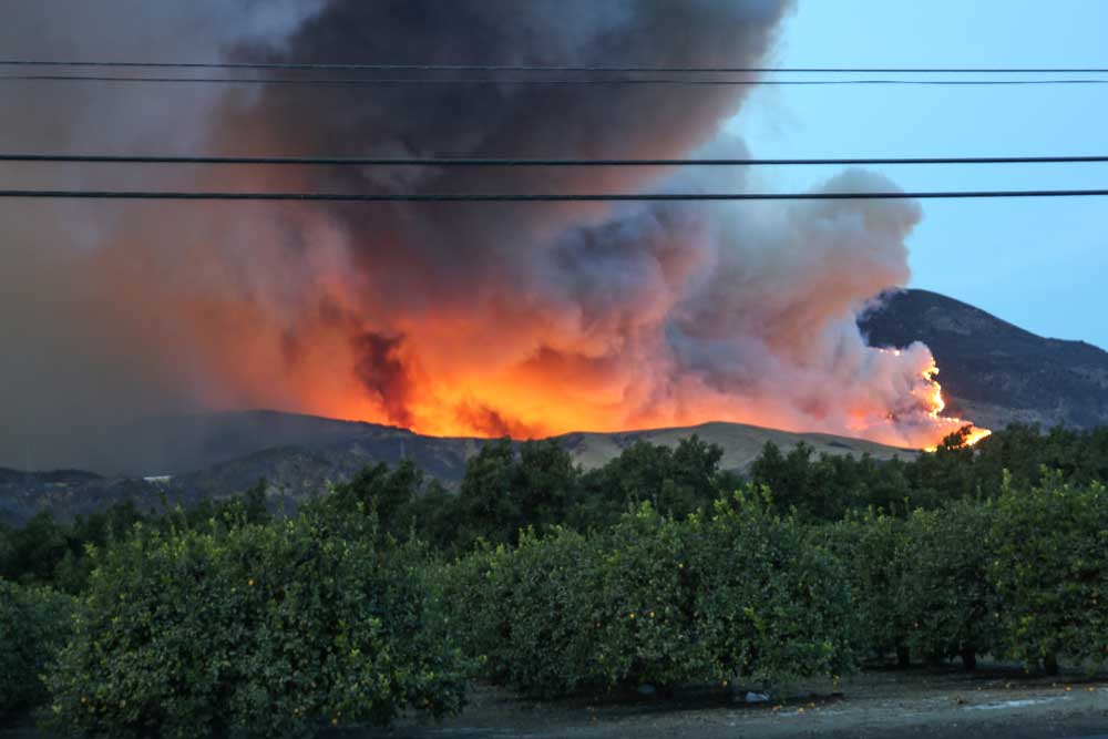 California fire