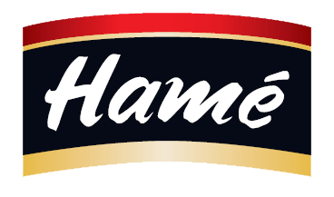 logo hame